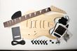 Electric Guitar Kit - RG Style BYO-RG